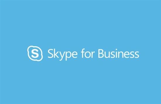 skype客户端skype官方软件下载